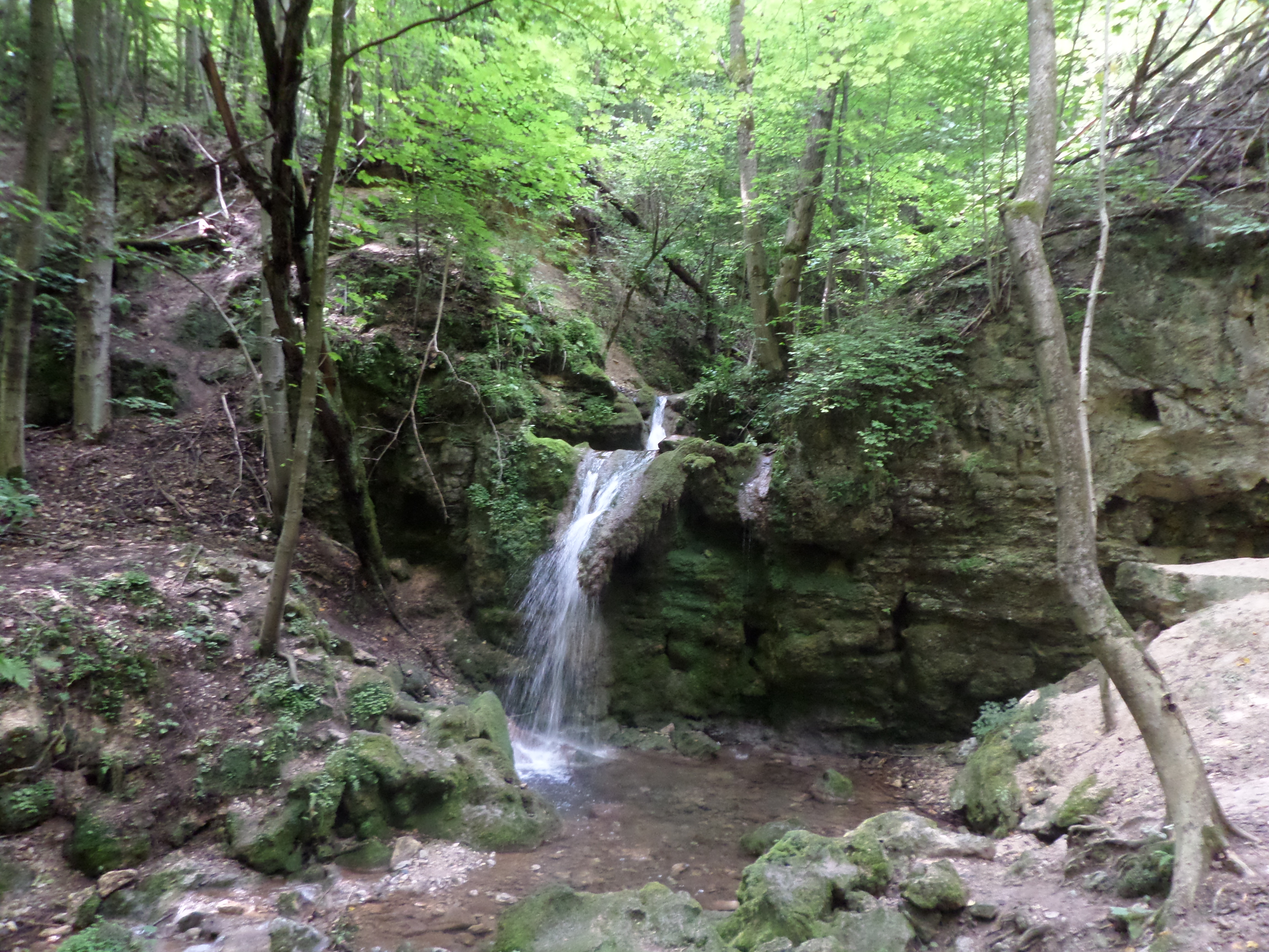 SAM_3847