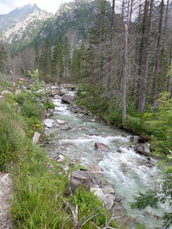 SAM_0601