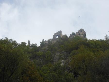 DSCN7503