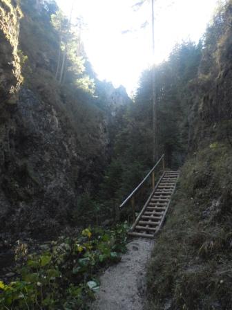 SAM_1090
